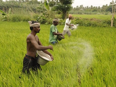 Thị trường phân bón toàn cầu lại “nóng”